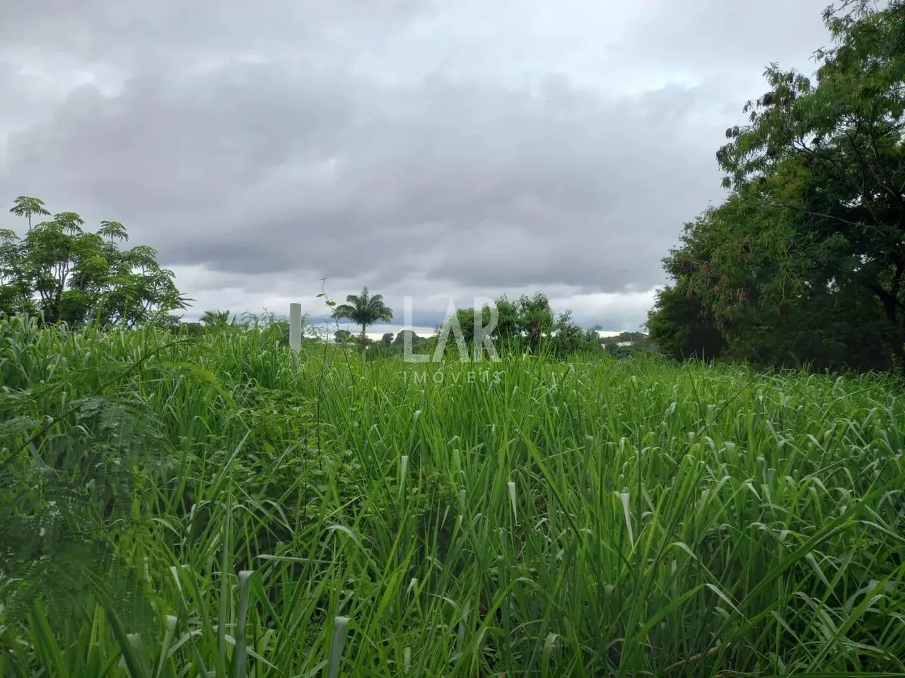 Lote - Terreno à venda, Garças - Belo Horizonte/MG - Foto 2