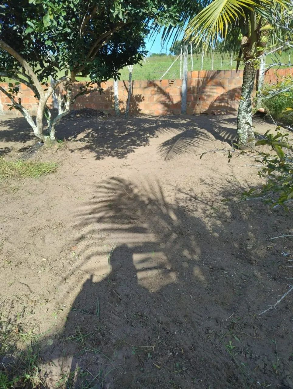 Terreno em Paudalho - Foto 5