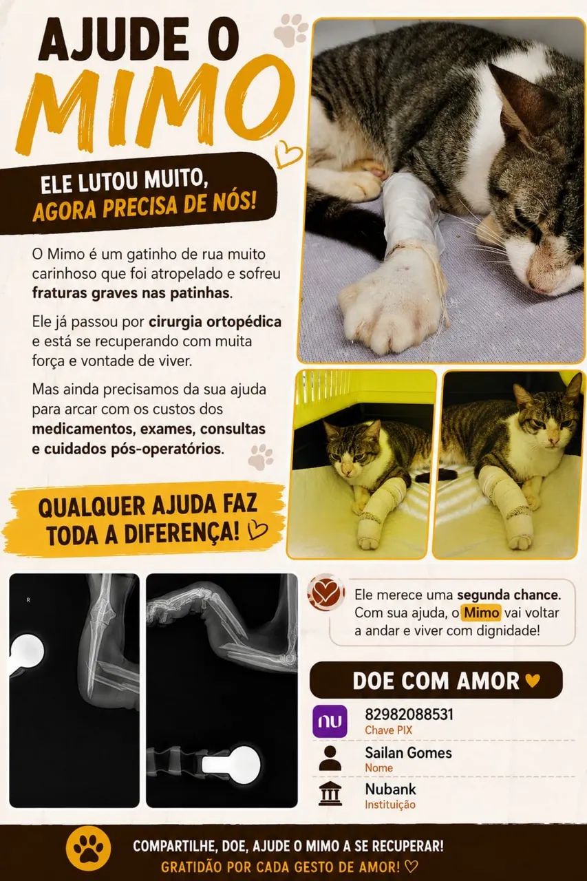 Adoção responsável!  - Foto 5