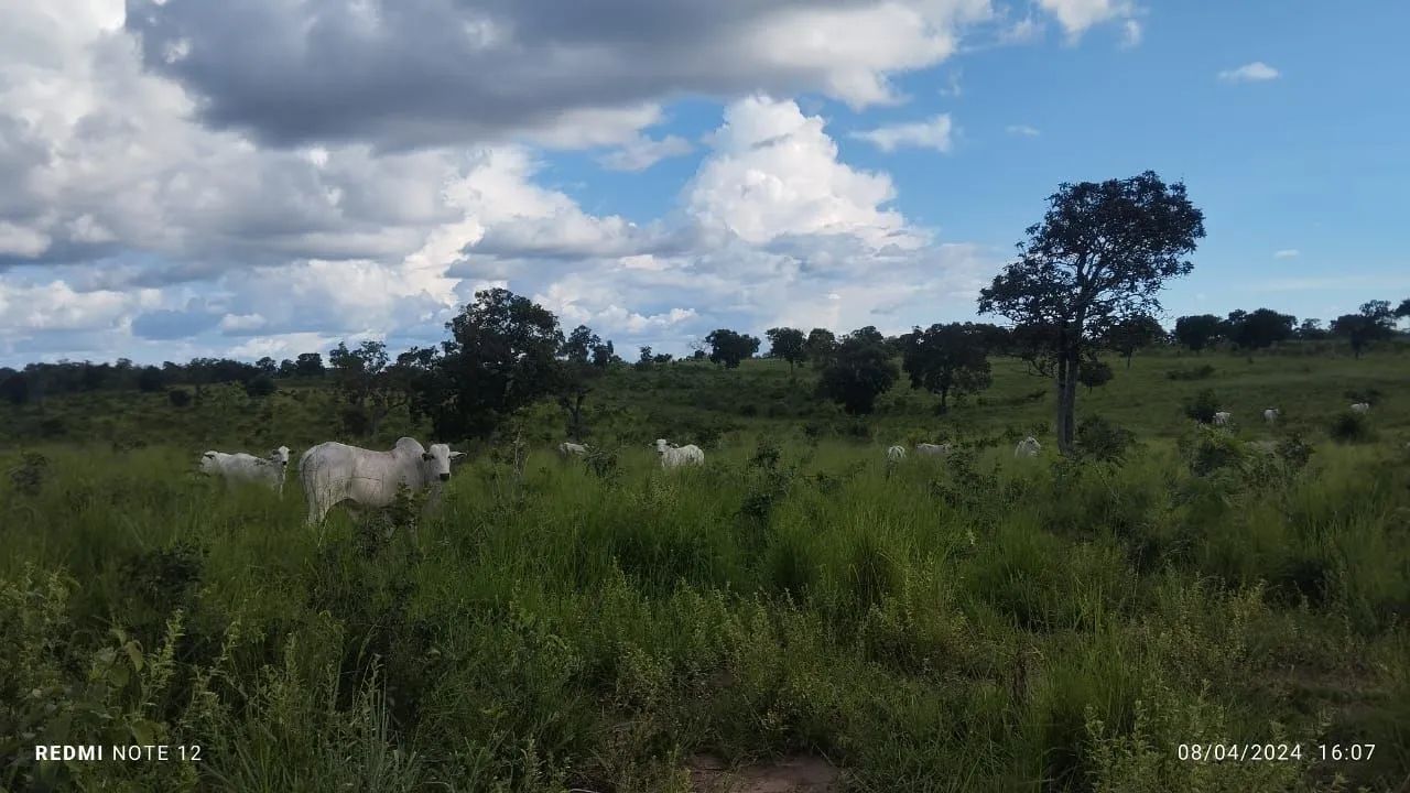 Vendo uma fazenda  - Foto 3