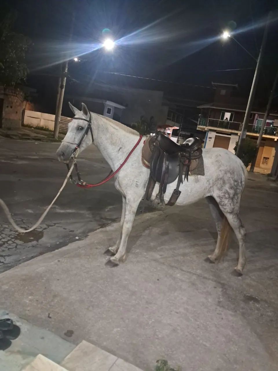 Égua extra de marcha picada.