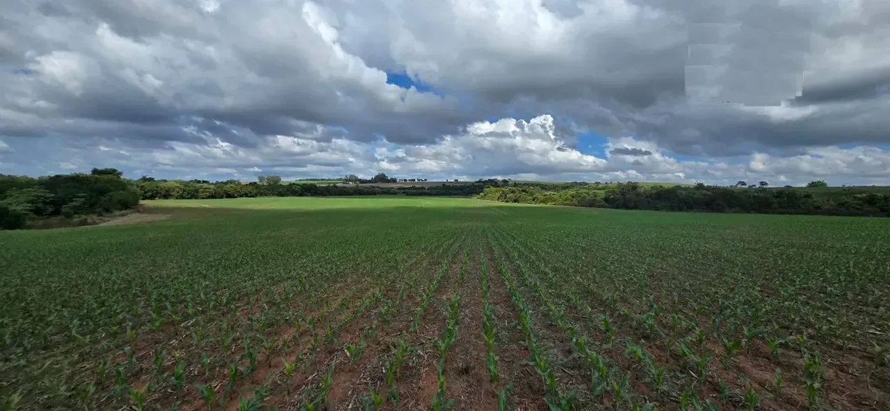 Fazenda para venda no PR. NOROESTE. - Foto 2