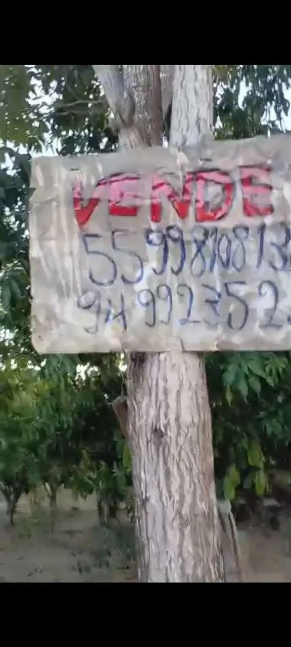 Vendo 2 chácara. - Foto 2