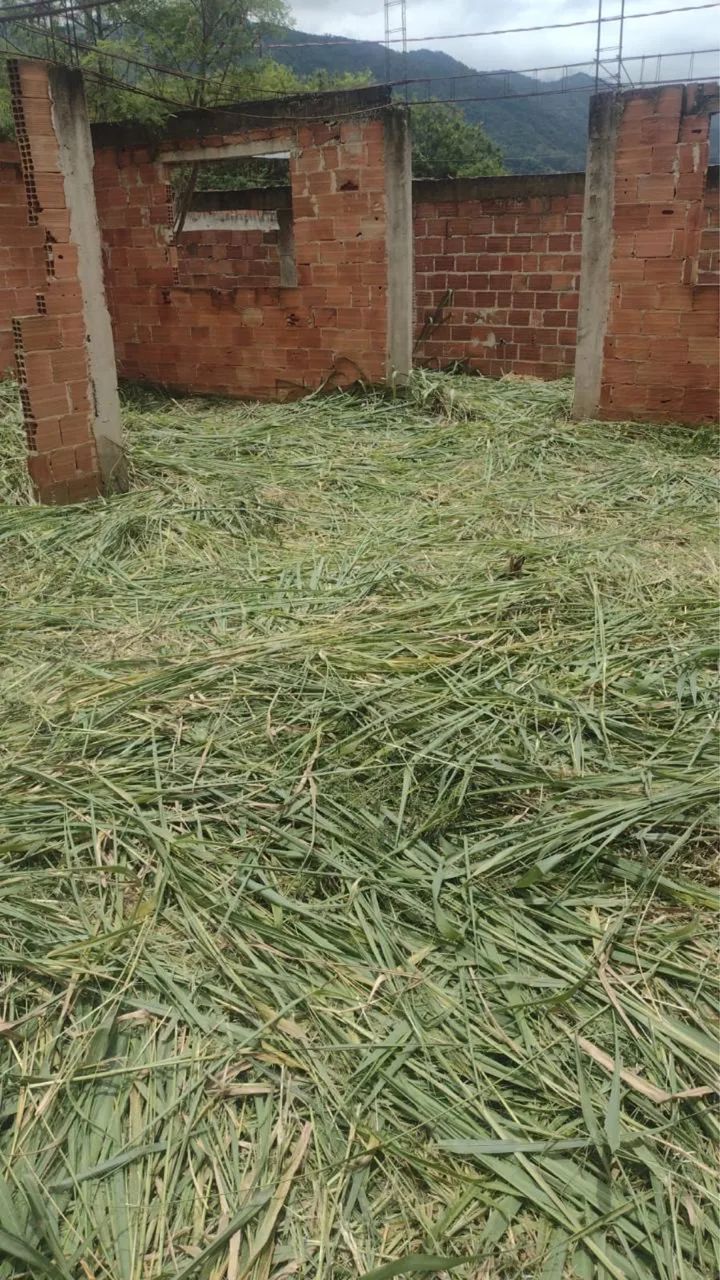 Terreno 270 m2 em Campo Grande condomínio fechado  - Foto 2