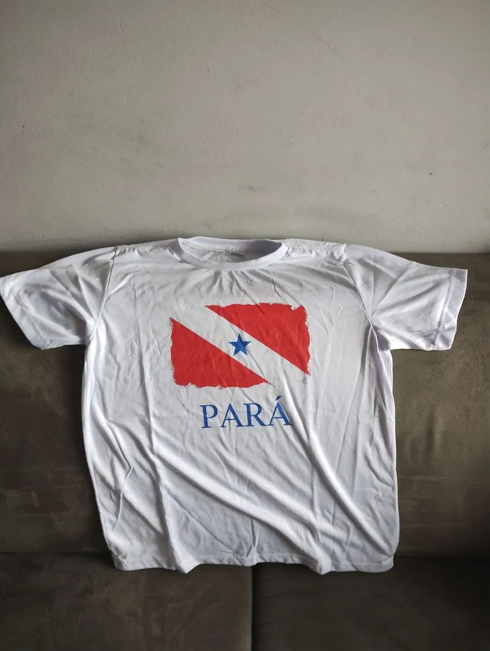 Bandeira e camisa do Pará  - Foto 3