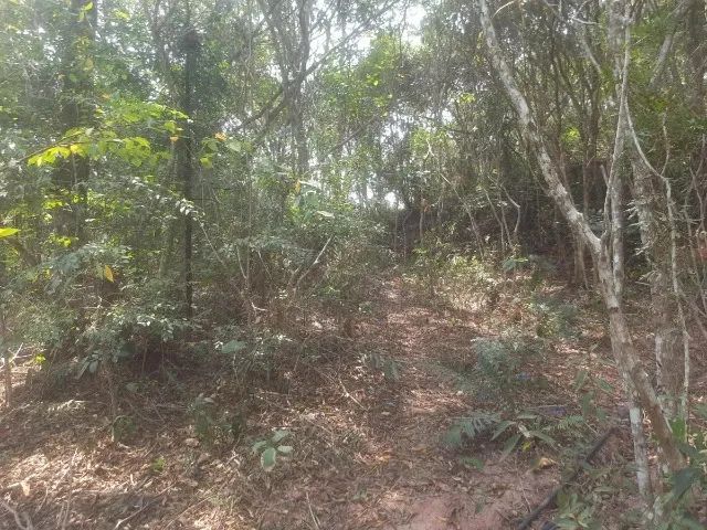 Foto - Igaratá - 