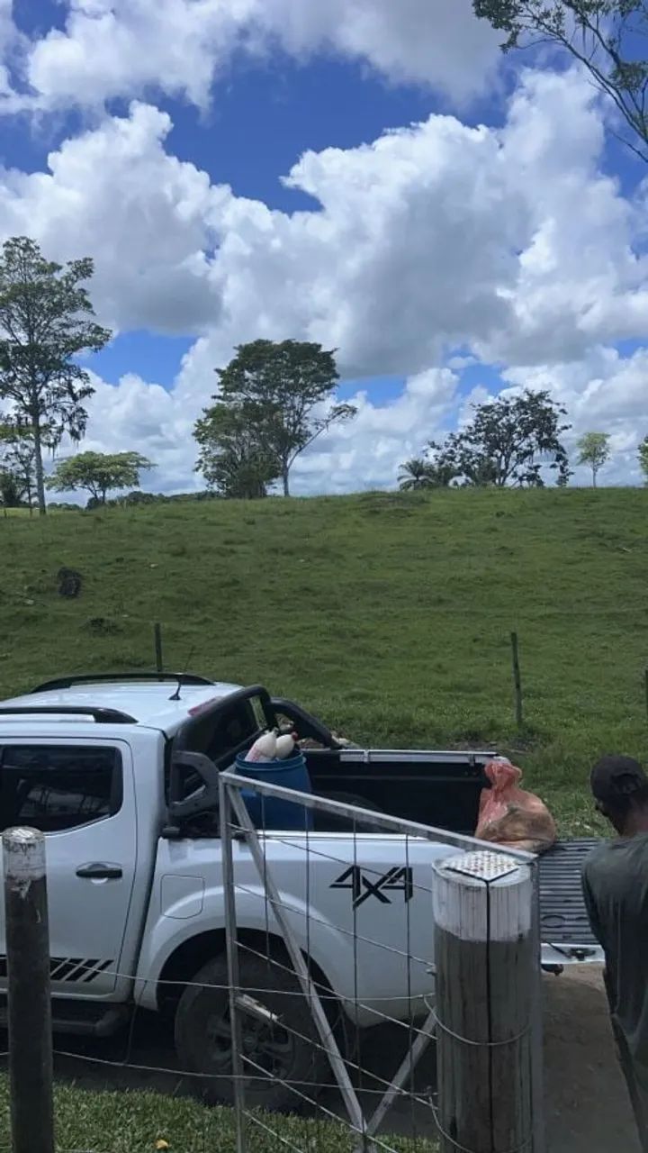 FAZENDA PRODUTIVA À VENDA - Foto 3