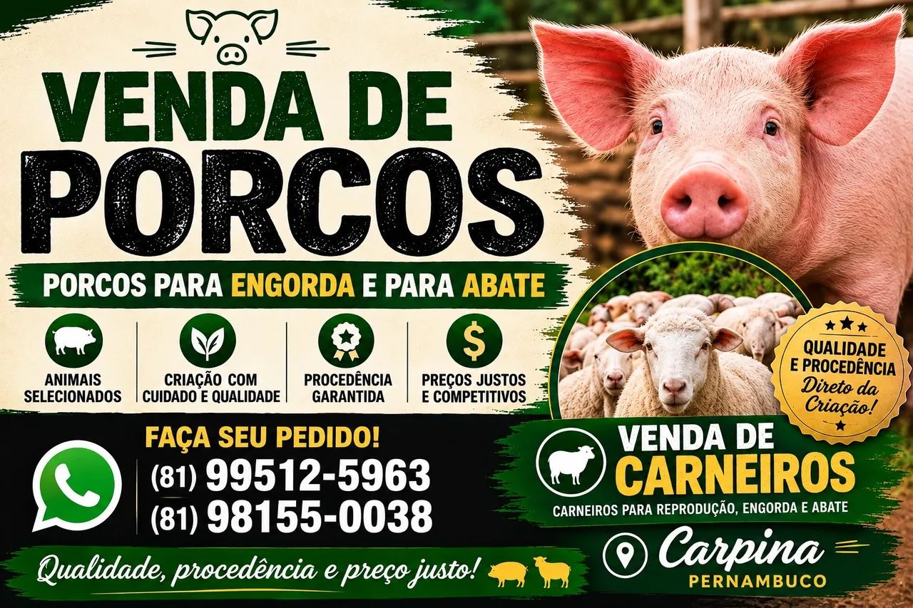 Porco e carne 