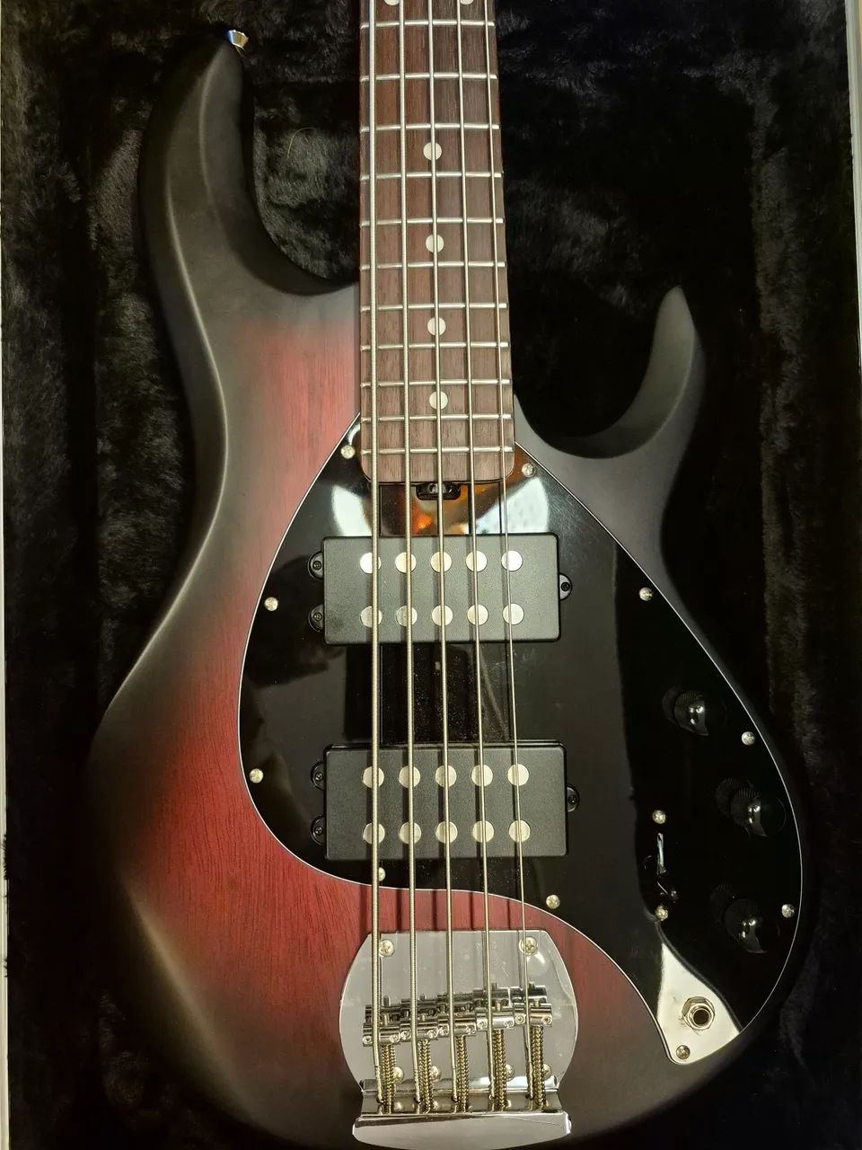 Baixo Sterling Stingray 5 by MucisMan