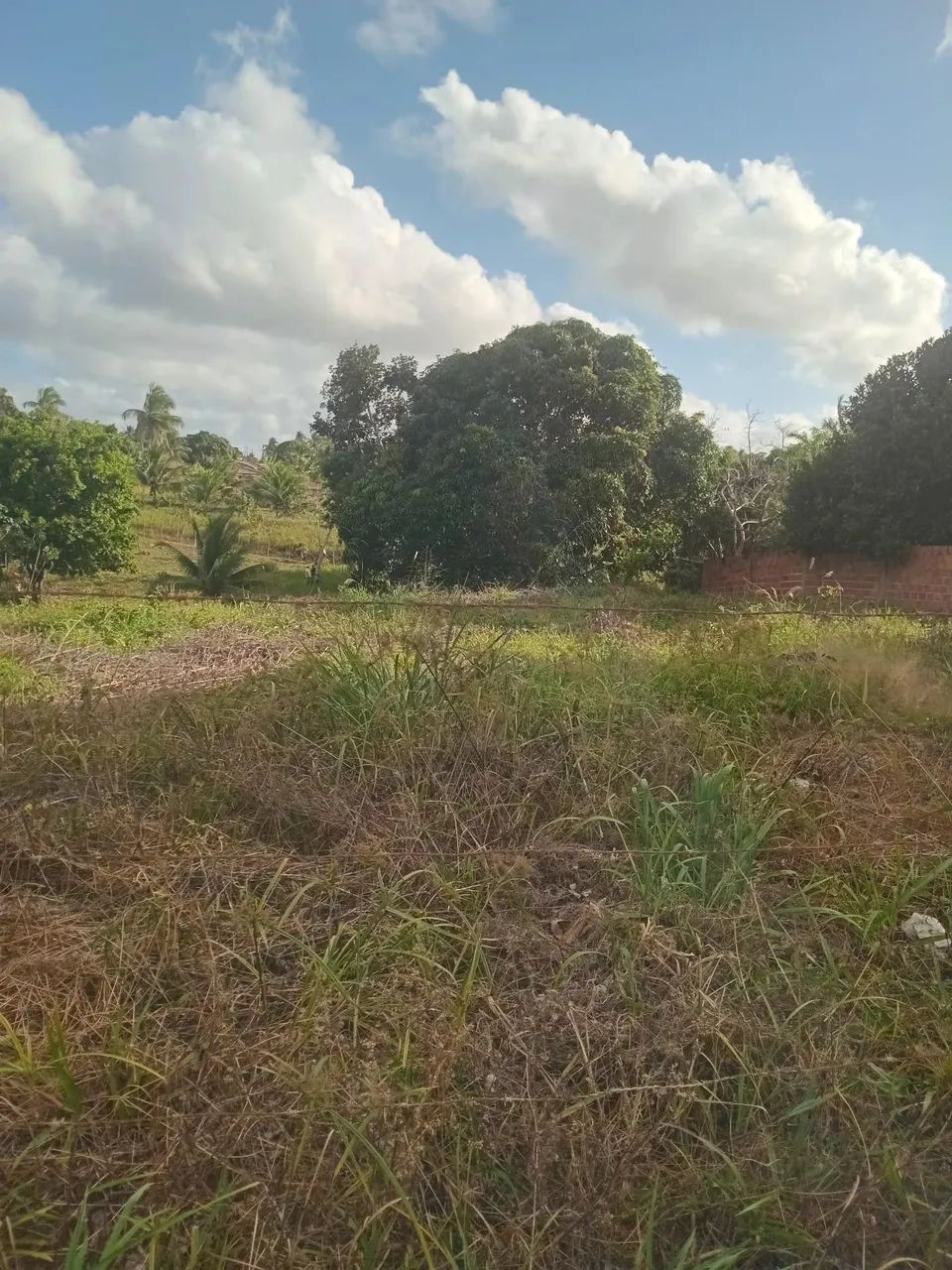 Terreno Amplo com Água Natural e Acesso Duplo - Povoado Nova Descoberta (Itaporanga) - Foto 2
