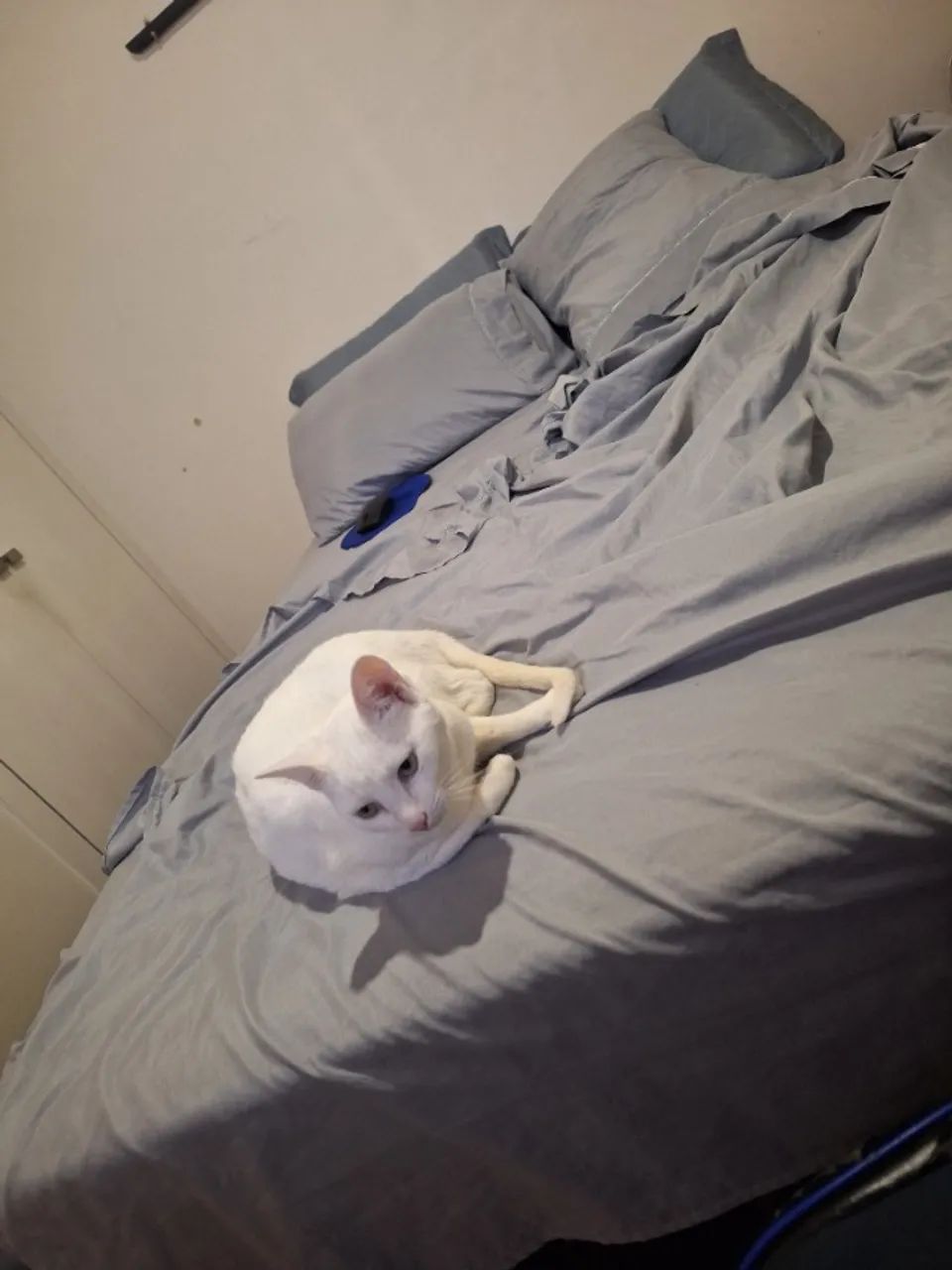 Cama de casal