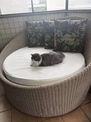 Chaise com 3 almofadas  - Foto 4