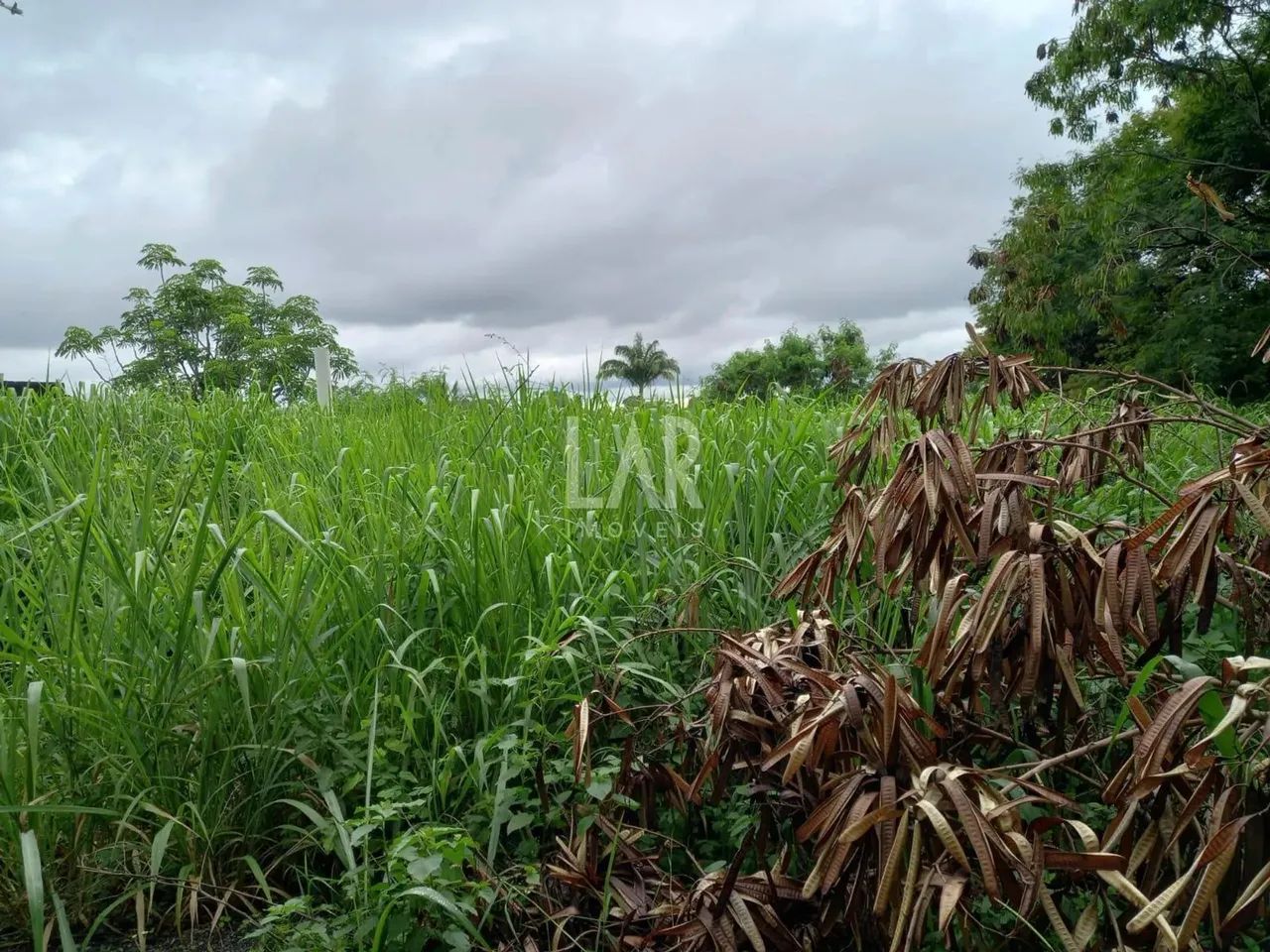 Lote - Terreno à venda, Garças - Belo Horizonte/MG - Foto 6