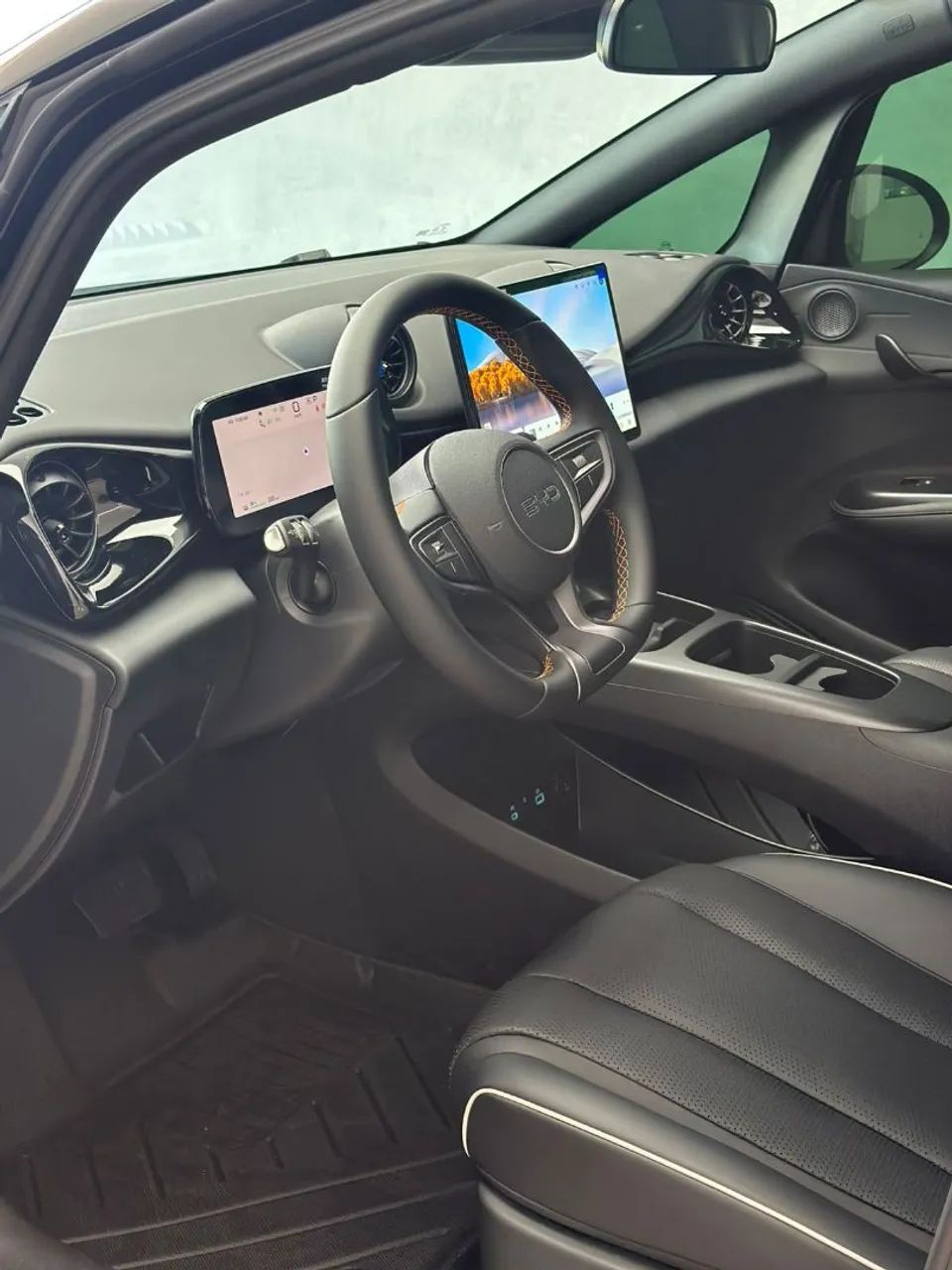 BYD Dolphin SE 2027 - Foto 3