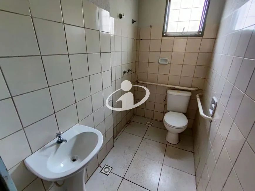 Aluguel Apartamento LARANJEIRAS - Foto 3