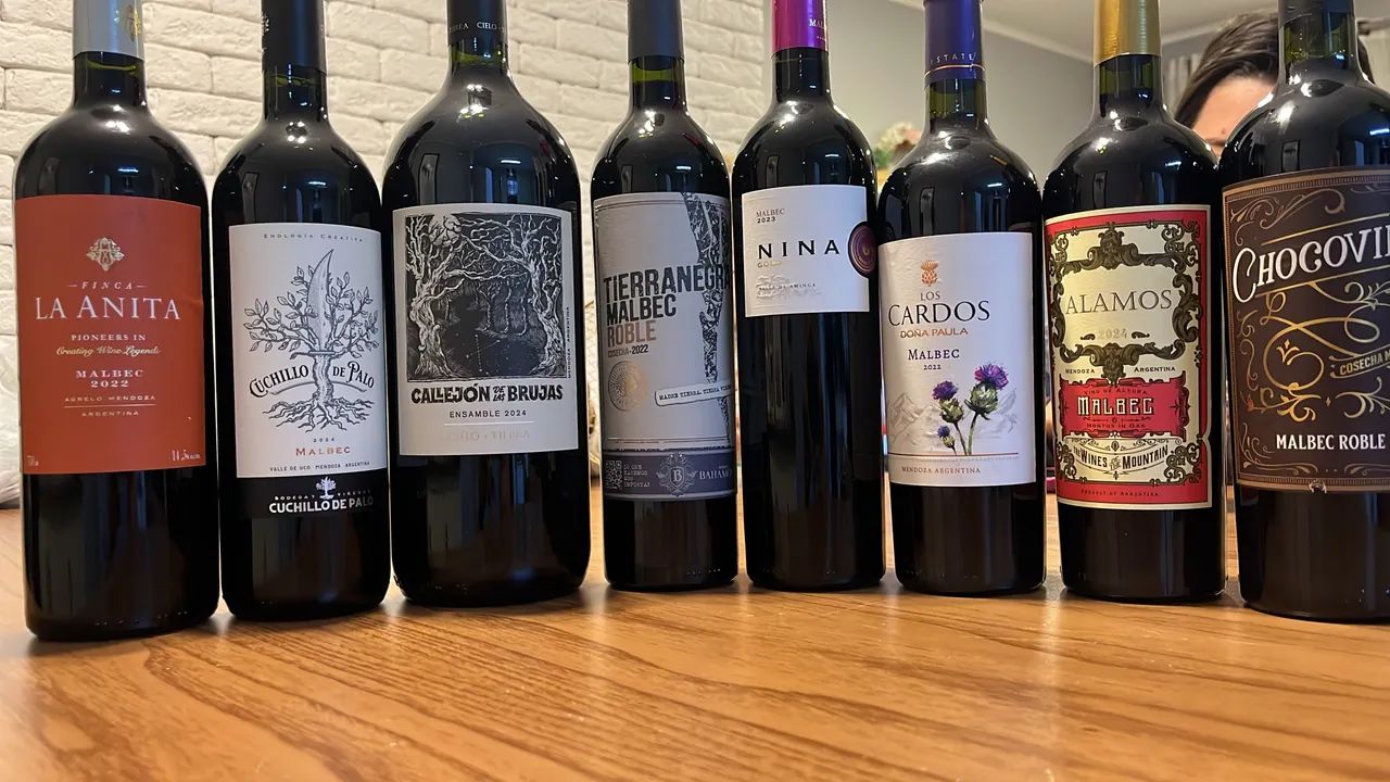 Vinhos Argentinos  - Foto 5