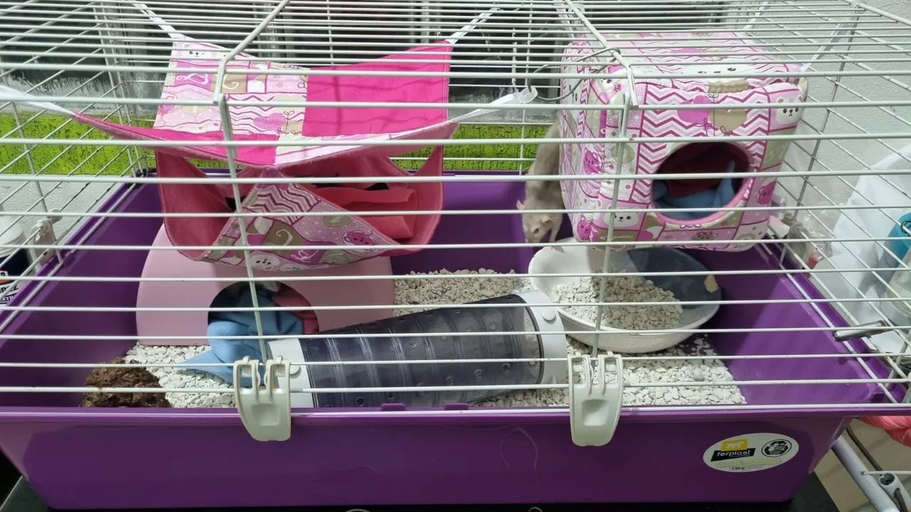 Gaiola cavie 80 Ferplast - Foto 2