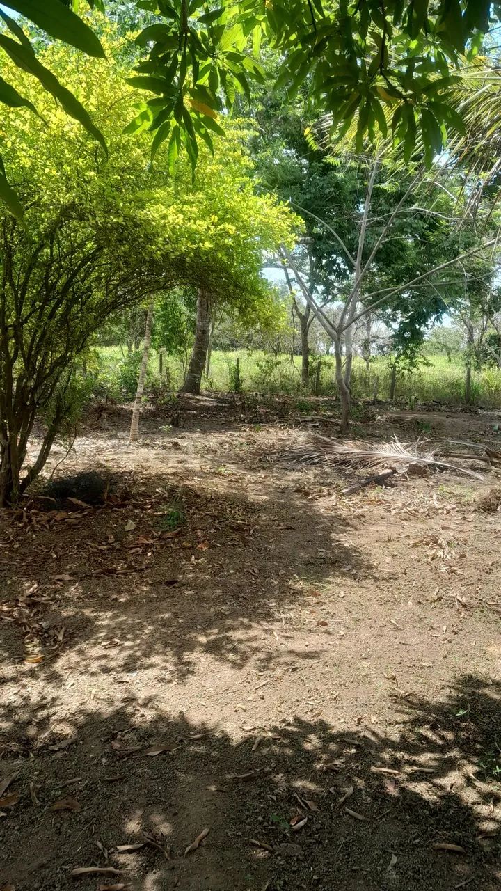 Chácara  - Foto 3