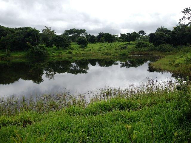 Fazenda 950 ha Rosário Oeste MT - Foto 11