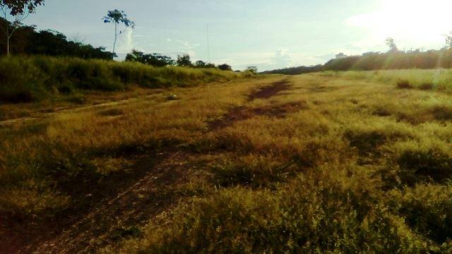 Fazenda 7900 ha Alta Floresta MT - Foto 12