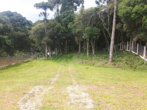 São José dos Pinhais - Chácara c/ 2328m² em condomínio fechado próx. BR 277 - Foto 4
