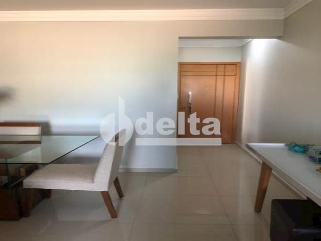 Apartamento à venda com 3 dormitórios em Santa mônica, Uberlândia cod:32375 - Foto 13