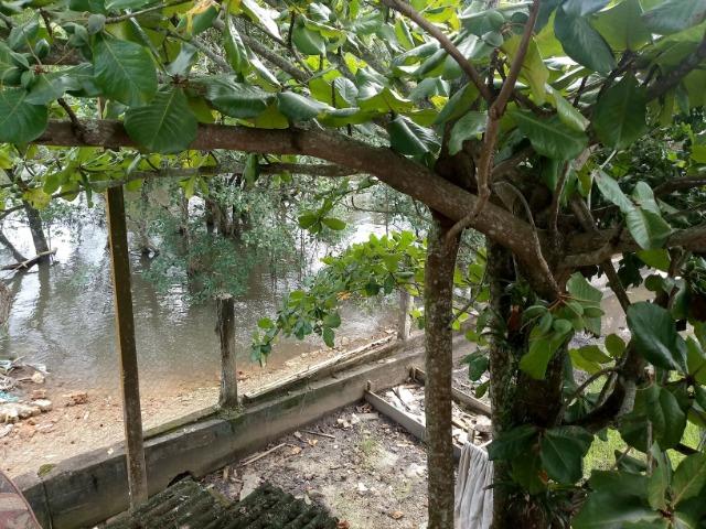 Casa - Ponta da Pita - Antonina - Foto 7