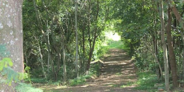Lotes de 1000m2 de Ibiuna * Jhessica - Foto 3