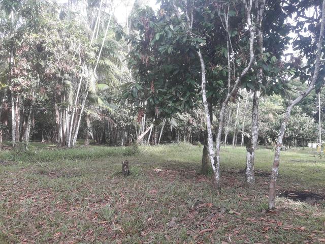 Pronto p/ construir, na pista da PA Colares