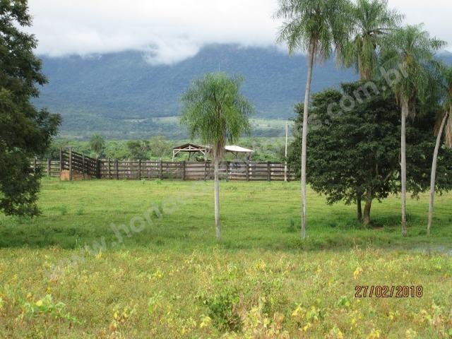 Fazenda com 881 hectares em Corumbá-MS para agricultura e pecuária - Foto 17