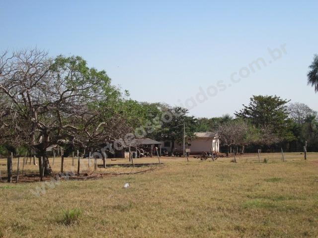 Fazenda com 881 hectares em Corumbá-MS para agricultura e pecuária - Foto 11