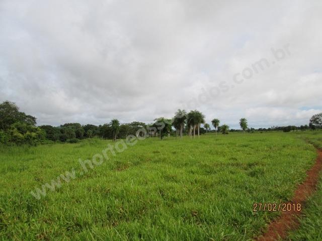 Fazenda com 881 hectares em Corumbá-MS para agricultura e pecuária - Foto 15