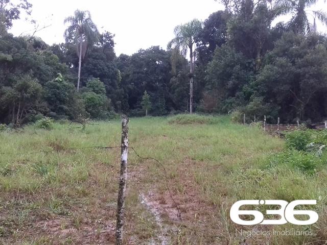 Terreno | Balneário Barra do Sul | Costeira - Foto 3