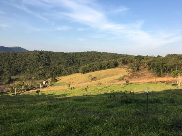 GE Compre agora seu terreno 1000m2 em mariporã para o final do ano - Foto 7