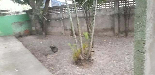 Casa - Cobilândia - Foto 2