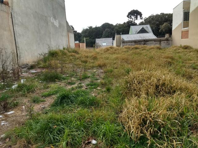 Terreno somente para venda - Foto 3