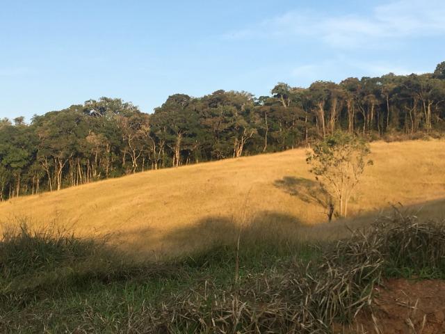 GE Compre agora seu terreno 500m2 em mariporã para o final do ano 10.000 - Foto 6