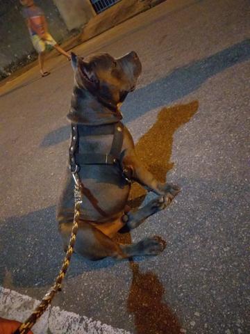 A procura de uma namorada - Foto 2