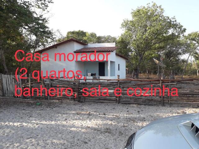 Fazenda em Boa-Hora/PI a 140 km de Teresina - Foto 5