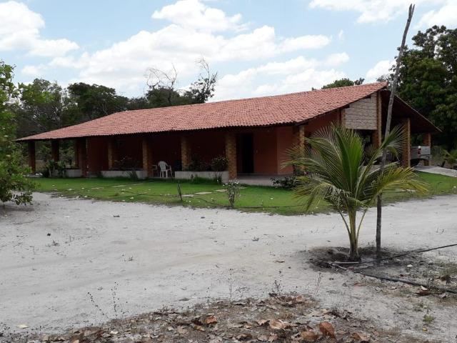Fazenda em Boa-Hora/PI a 140 km de Teresina - Foto 10