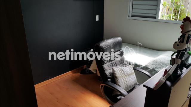 Apartamento à venda com 3 dormitórios em Santo andré, Belo horizonte cod:725176 - Foto 14