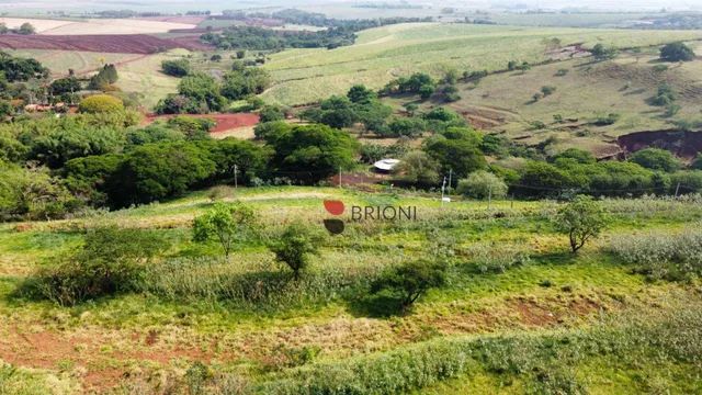 Sítio em Cravinhos/SP I Imobiliária em Ribeirão Preto I Brioni imóveis. - Foto 4
