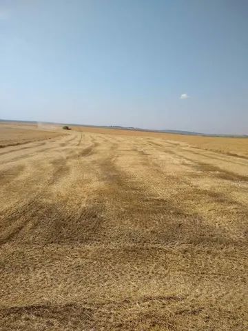 Fazenda Regiao de Maringá  107 alqueiro irrigado  - Foto 3