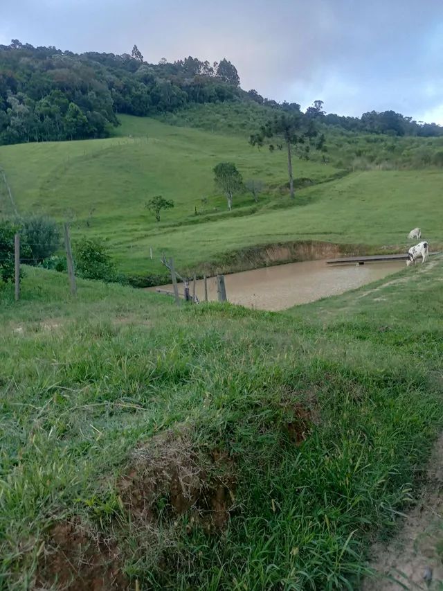 Vendo  ou troco por imóvel em Florianópolis sitio em Alfredo Wagner com piscina. - Foto 5
