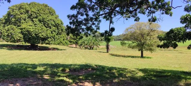 Fazenda em Pontalina  - Foto 4