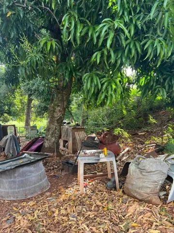 Lote comercial industrial proximo ao Cemiterio parque  - Foto 3