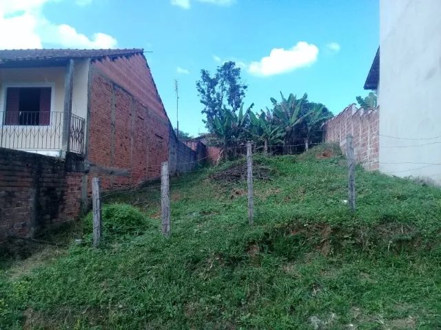 Ótimo Terreno Pingo de Ouro