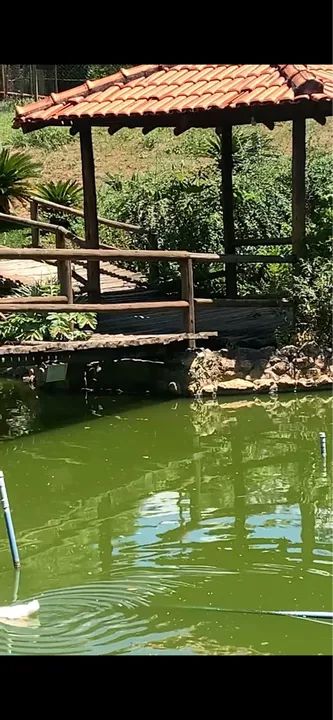 Sitio em Esmeraldas pousada los hermanos - Foto 10