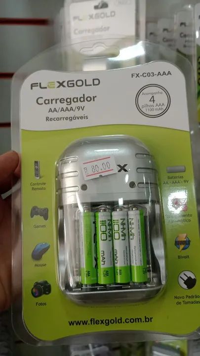 Pilha recarregável + carregador 