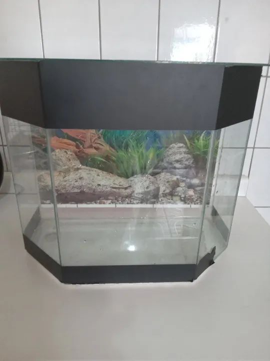 Vendo Aquario 